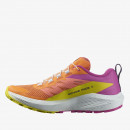 Ботинки Salomon Sense Ride 5 L47459000 - мультиколор