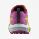 Ботинки Salomon Sense Ride 5 L47459000 - мультиколор