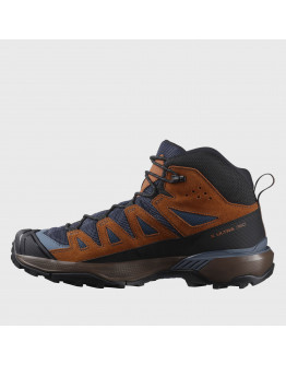 Ботинки Salomon X Ultra 360 LTR Mid GTX L47570700 - коричневые