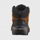 Ботинки Salomon X Ultra 360 LTR Mid GTX L47570700 - коричневые