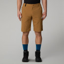 Мужские шорты The North Face Tanken 0A2S851731 - коричневые