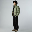 Мужская куртка The North Face 1996 Retro Nuptse 0A3C8DBO91 - зеленая