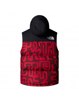 Мужской безрукавник The North Face 1996 Retro Nuptse 0A3JQQ8S41 - красный