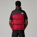 Мужской безрукавник The North Face 1996 Retro Nuptse 0A3JQQ8S41 - красный