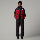 Мужской безрукавник The North Face 1996 Retro Nuptse 0A3JQQ8S41 - красный