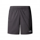 Мужские шорты The North Face 7