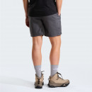 Мужские шорты The North Face 7