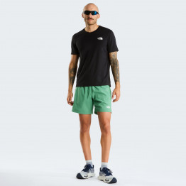 Мужские шорты The North Face 7
