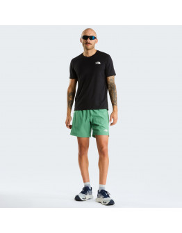 Мужские шорты The North Face 7