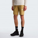 Мужские шорты The North Face Lighting 0A495O4FS1 - бежевые