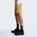 Мужские шорты The North Face Lighting 0A495O4FS1 - бежевые