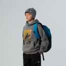 Молодежный рюкзак The North Face Jester 0A52VYDDI1 - синий