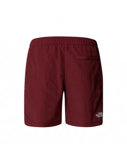 Мужские шорты The North Face Water 0A5IG50VO1 - бордовые