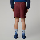 Мужские шорты The North Face Water 0A5IG50VO1 - бордовые