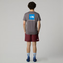 Мужские шорты The North Face Water 0A5IG50VO1 - бордовые