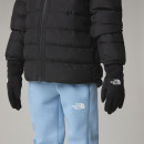 Перчатки The North Face Sierra Etip 0A7WFYJK31 - черные