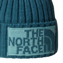 Шапка The North Face Heritage Ski Tuke 0A7WJOE311 - зелёная