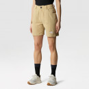 Шорты The North Face Horizon Circular 0A8251LK51 - бежевые