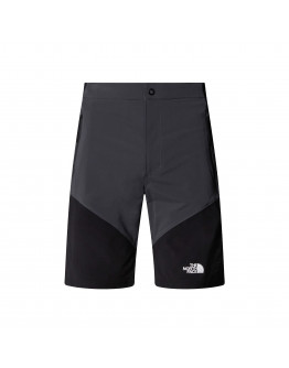 Мужские шорты The North Face Felik 0A825X4JK1 - серо-черные