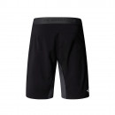 Мужские шорты The North Face Felik 0A825X4JK1 - серо-черные