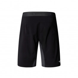 Мужские шорты The North Face Felik 0A825X4JK1 - серо-черные