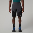 Мужские шорты The North Face Felik 0A825X4JK1 - серо-черные