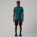 Мужские шорты The North Face Felik 0A825X4JK1 - серо-черные