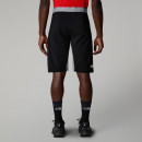 Мужские шорты The North Face Felik 0A825XBO71 - серо-черные