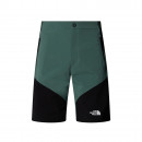 Мужские шорты The North Face Felik 0A825XLFW1 - зеленые с черным