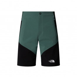 Мужские шорты The North Face Felik 0A825XLFW1 - зеленые с черным