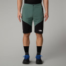 Мужские шорты The North Face Felik 0A825XLFW1 - зеленые с черным