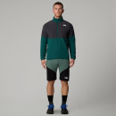 Мужские шорты The North Face Felik 0A825XLFW1 - зеленые с черным