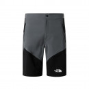 Мужские шорты The North Face Felik 0A825XRPI1 - серые