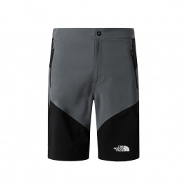 Мужские шорты The North Face Felik 0A825XRPI1 - серые