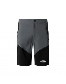 Мужские шорты The North Face Felik 0A825XRPI1 - серые