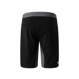 Мужские шорты The North Face Felik 0A825XRPI1 - серые