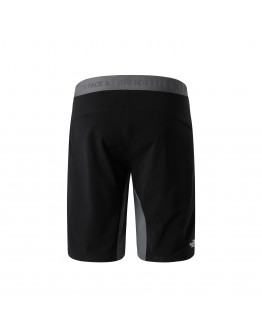 Мужские шорты The North Face Felik 0A825XRPI1 - серые