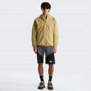 Мужские шорты The North Face Felik 0A825XRPI1 - серые