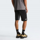 Мужские шорты The North Face Felik 0A825XRPI1 - серые