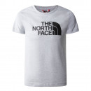Футболка The North Face Easy 0A82GHDYX1 - серый