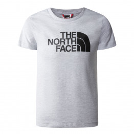 Футболка The North Face Easy 0A82GHDYX1 - серый