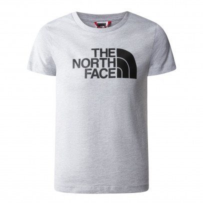 Футболка The North Face Easy 0A82GHDYX1 - серый