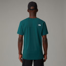 Мужская футболка The North Face Lightning Alpine 0A87H76GI1 - зеленая