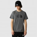 Футболка The North Face Easy 0A87N5DYY1 - серая