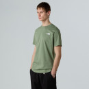Мужская футболка The North Face NSE Box Celebration 0A87NVBO91 - зеленая