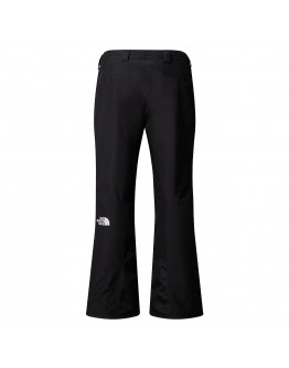 Мужские брюки The North Face Descendit 0A87ZYKX71 - черные