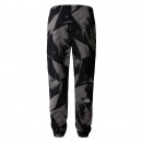 Брюки The North Face Essential Jogger Print 0A881JSIF1 - серые