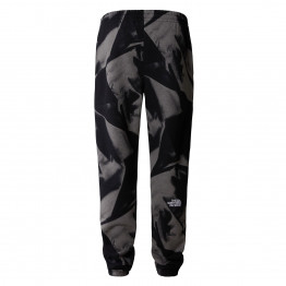 Брюки The North Face Essential Jogger Print 0A881JSIF1 - серые