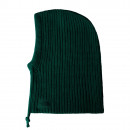 Капюшон The North Face Urban Lifestyle 0A88QZNL11 - зеленый