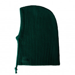 Капюшон The North Face Urban Lifestyle 0A88QZNL11 - зеленый